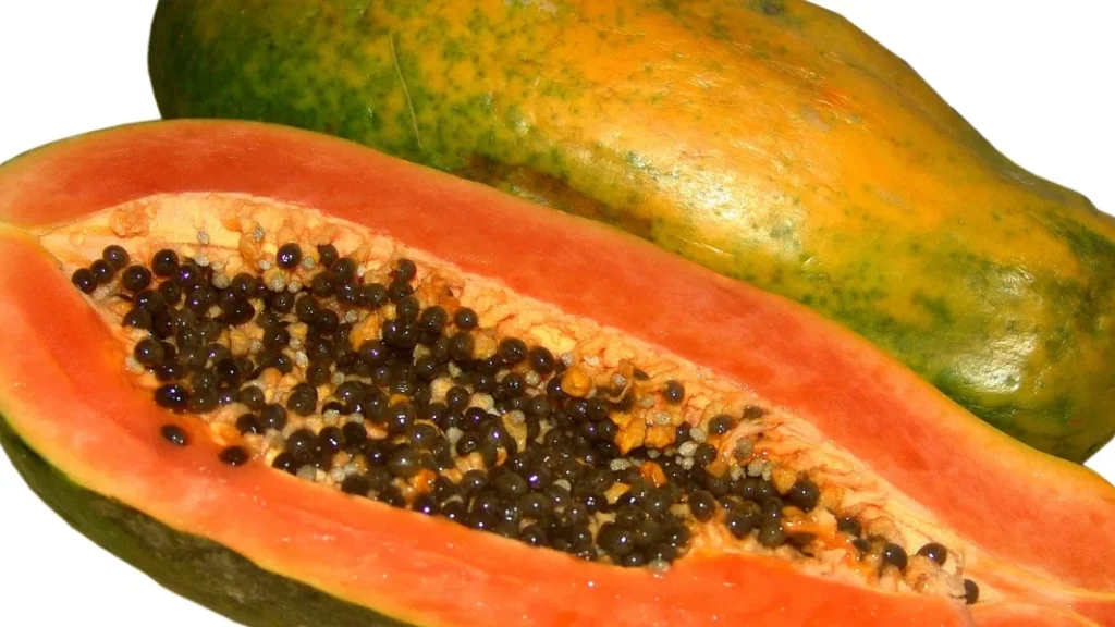  Papaya