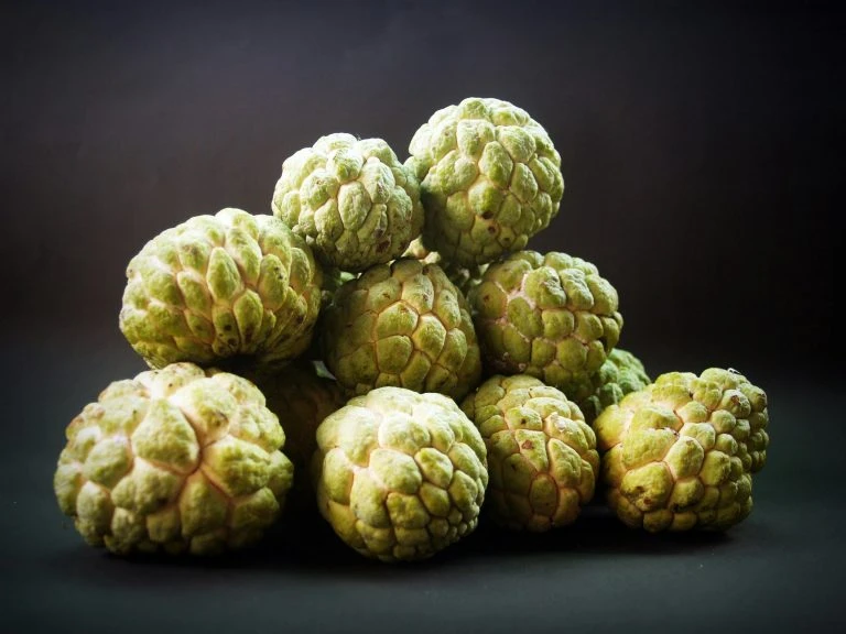 Cherimoya