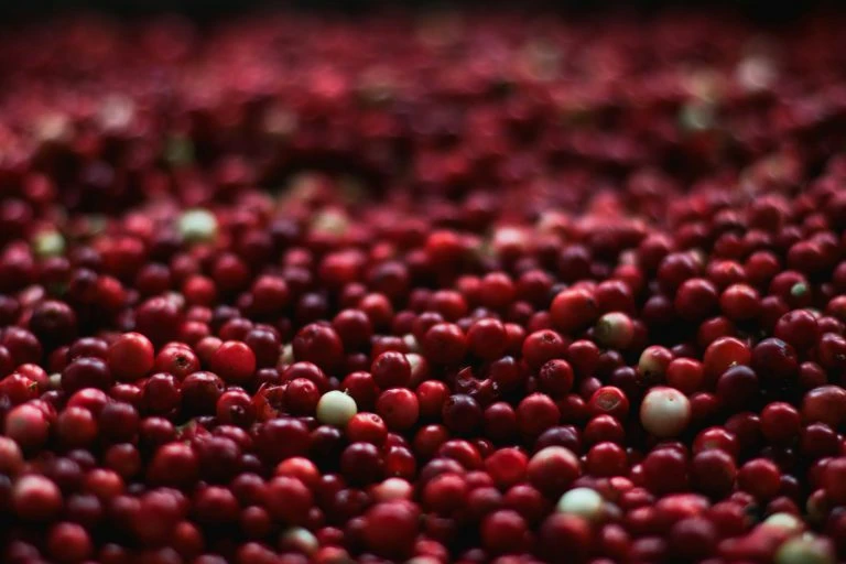 Cranberry