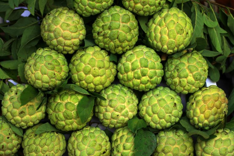 Custard Apple